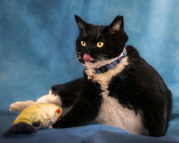 Come evitare la perdita di concentrazione nei portieri di calcio durante i momenti di inattività in partita?