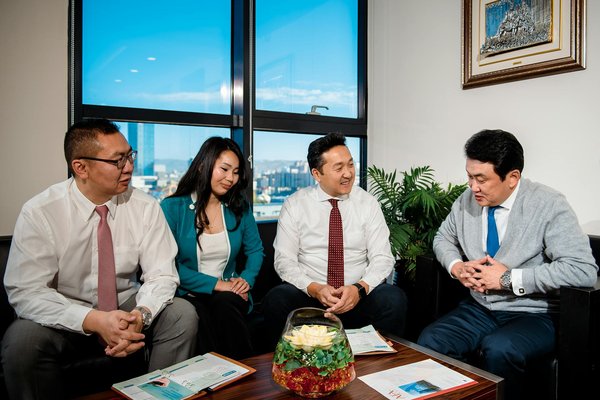 Quali sono le migliori soluzioni di gioco per un gatto di razza Balinese che ama arrampicarsi?